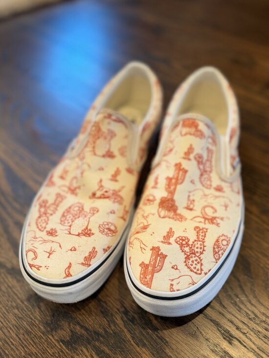 Vans Other - Vans Men’s 12 Classic Slip-On Desert Print Cactus Oatmeal Cream Color 751505